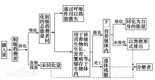 能量流动 能量流动