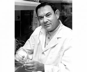 Leonard Hayflick Obituary (1928 - 2024) Leonard Hayflick Obituary (1928 - 2024)