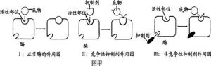 底物机制 底物机制