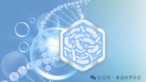 后生元 后生元