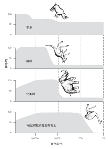 代表动物百分比的减弱 代表动物百分比的减弱