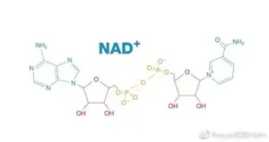 NAD