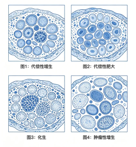 概念界定