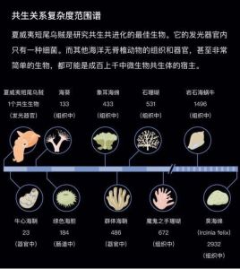 （来源：quantamagazine）