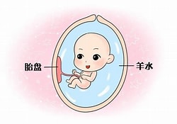 羊水 羊水