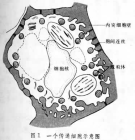 结构模式示意图