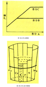 最小养分律木桶图解 最小养分律木桶图解