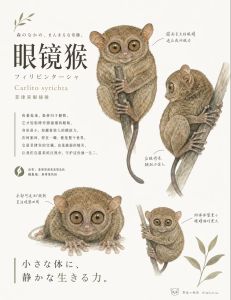 形态