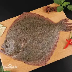 多宝鱼