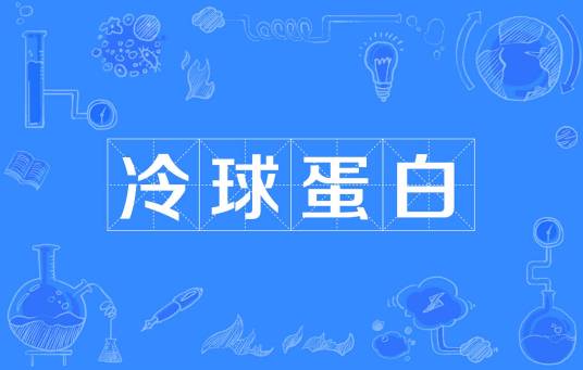 冷球蛋白