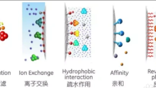 疏水效应
