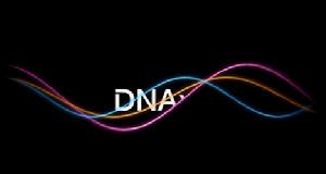 （图）DNA